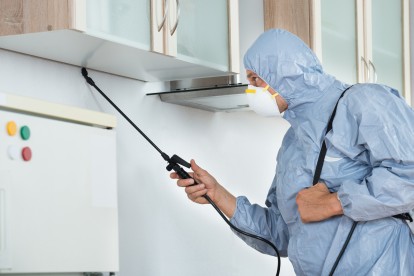 Home Pest Control, Pest Control in St John's Wood, NW8. Call Now 020 8166 9746