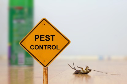 Pest Contol in St John's Wood, NW8. Call Now 020 8166 9746